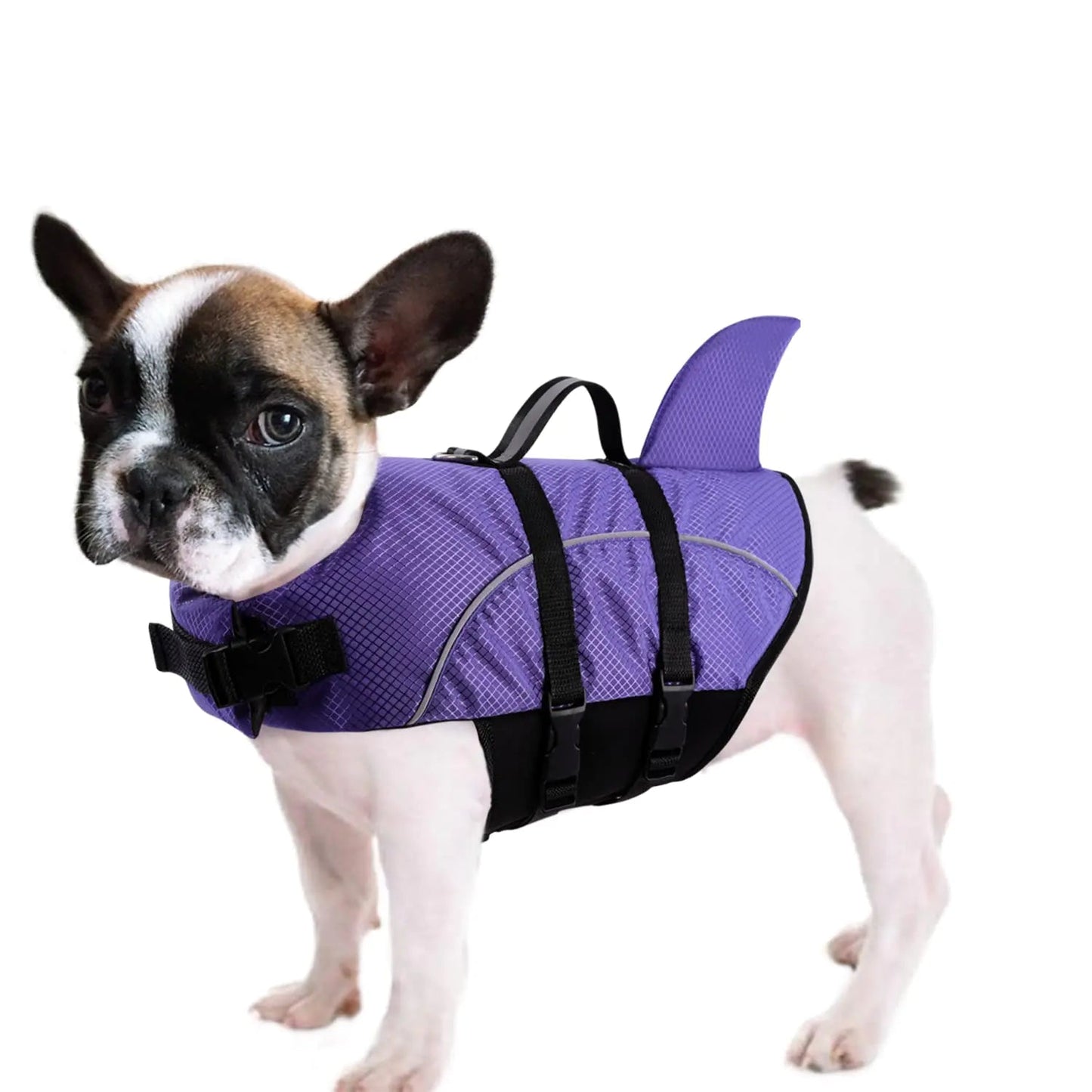 Shark Life Jacket