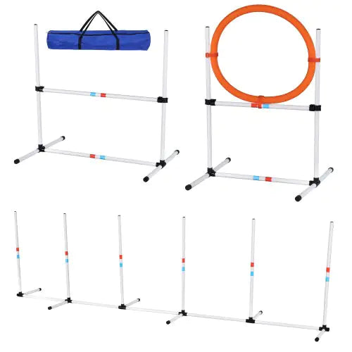 Pet Agility Exercise