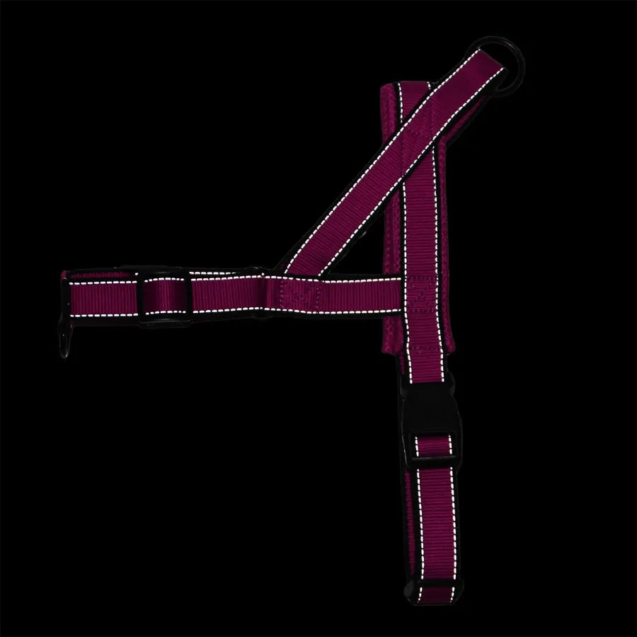 Adjustable Dog Walking Harness