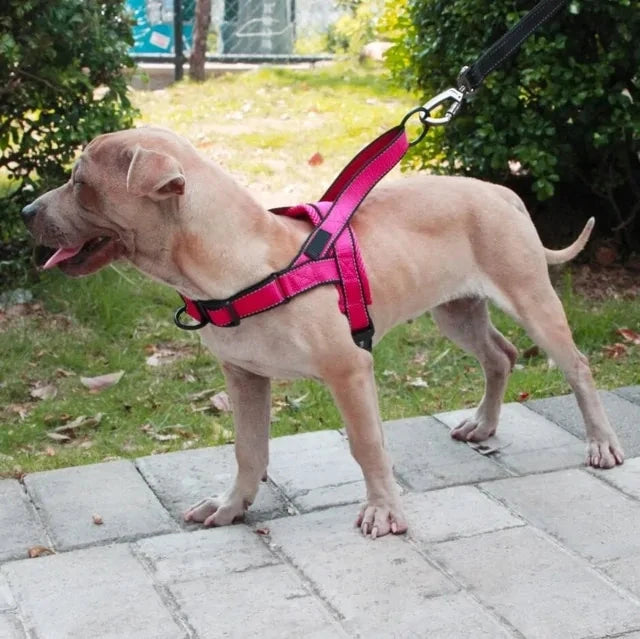 Adjustable Dog Walking Harness