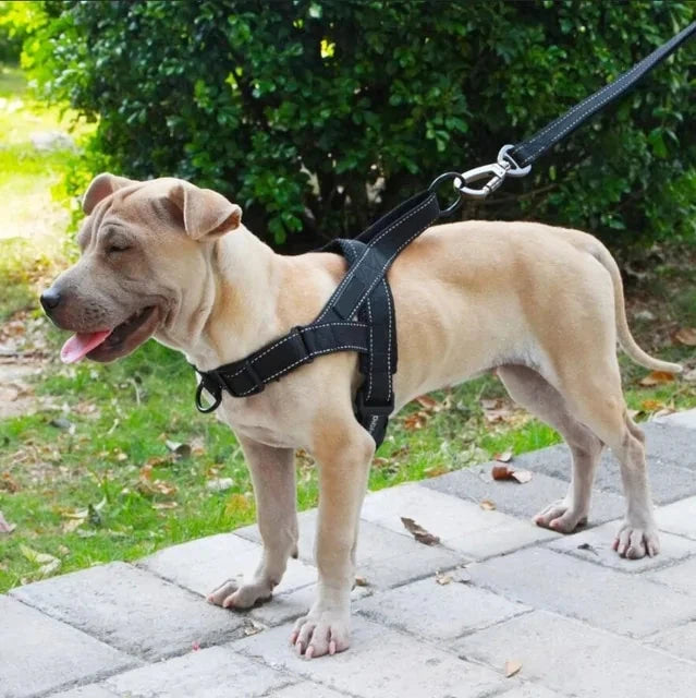 Adjustable Dog Walking Harness