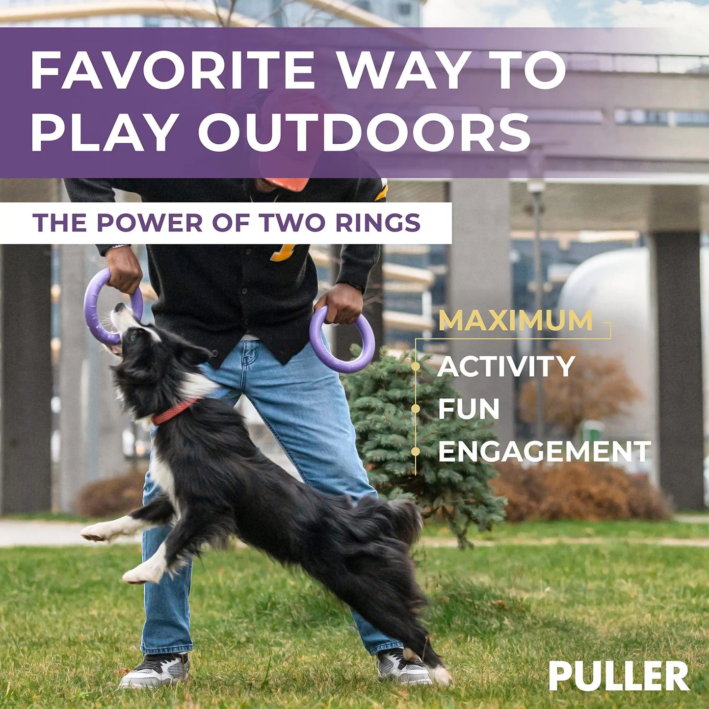Outdoor Dog Ring Toys