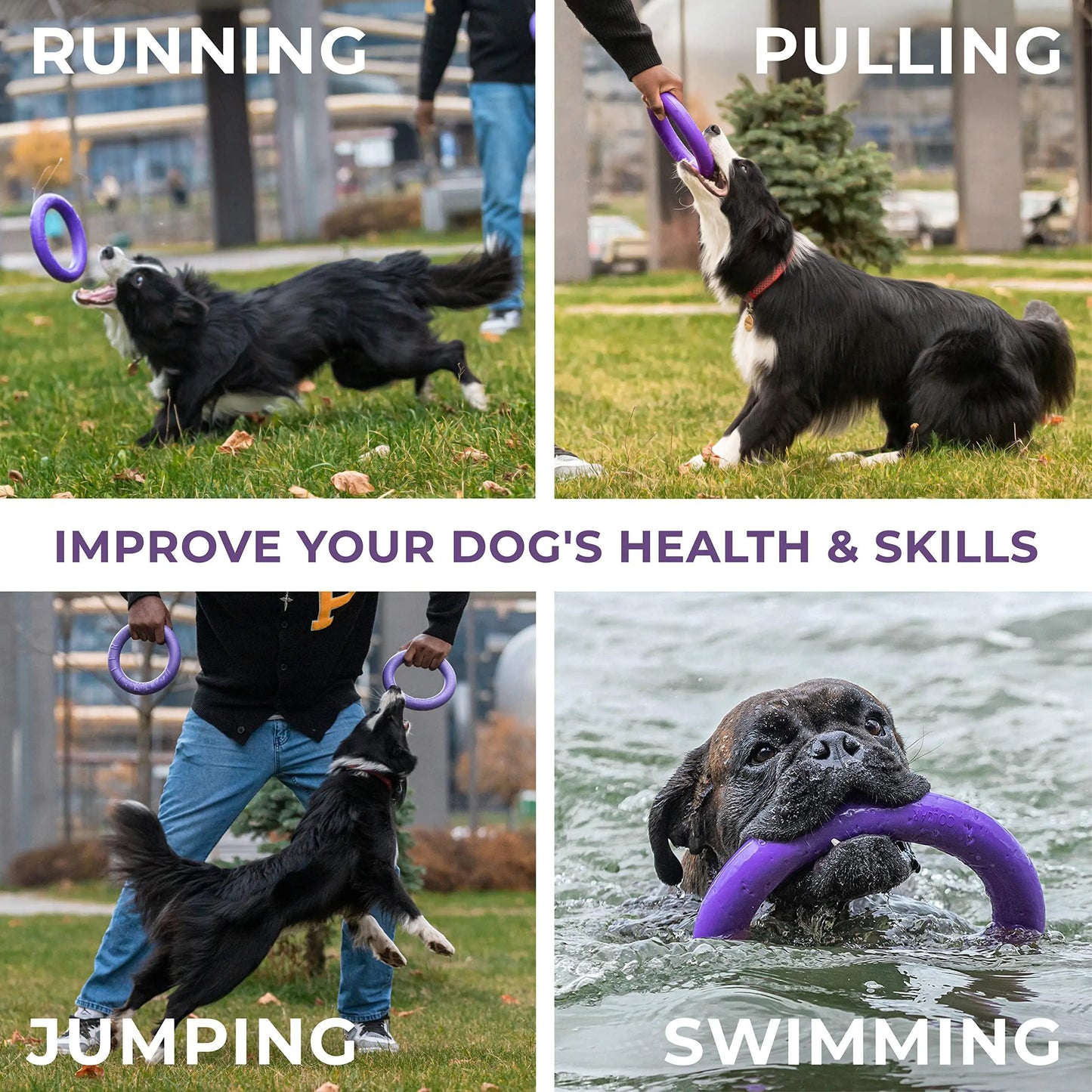 Outdoor Dog Ring Toys