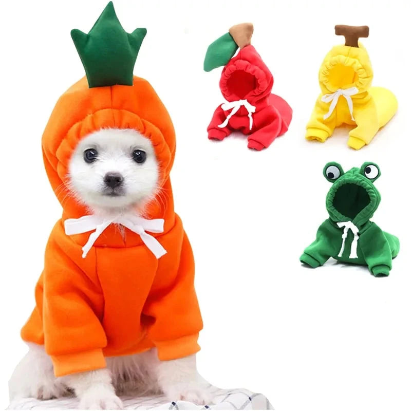 Cute Fruit Dog Clothes