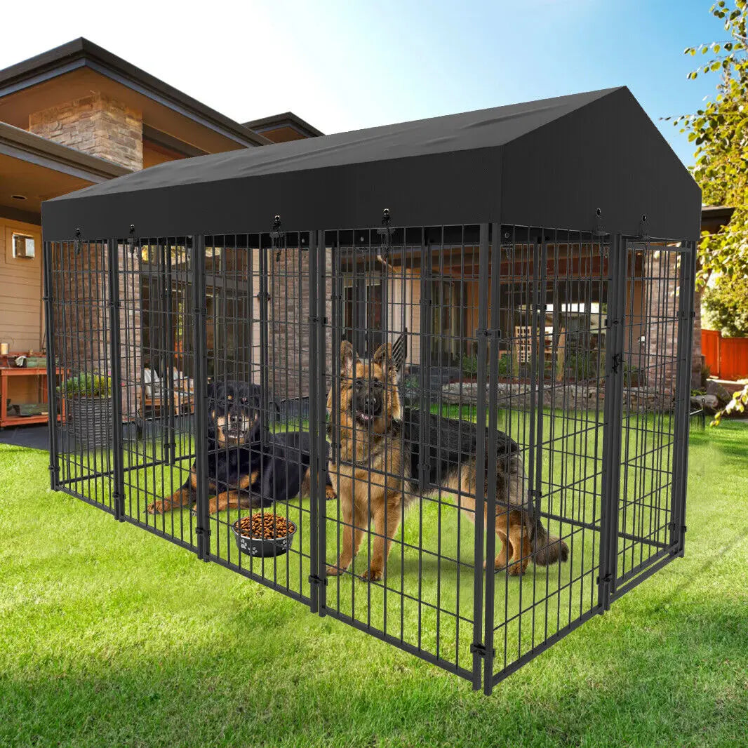 Outdoor Dog High Fence Kennel