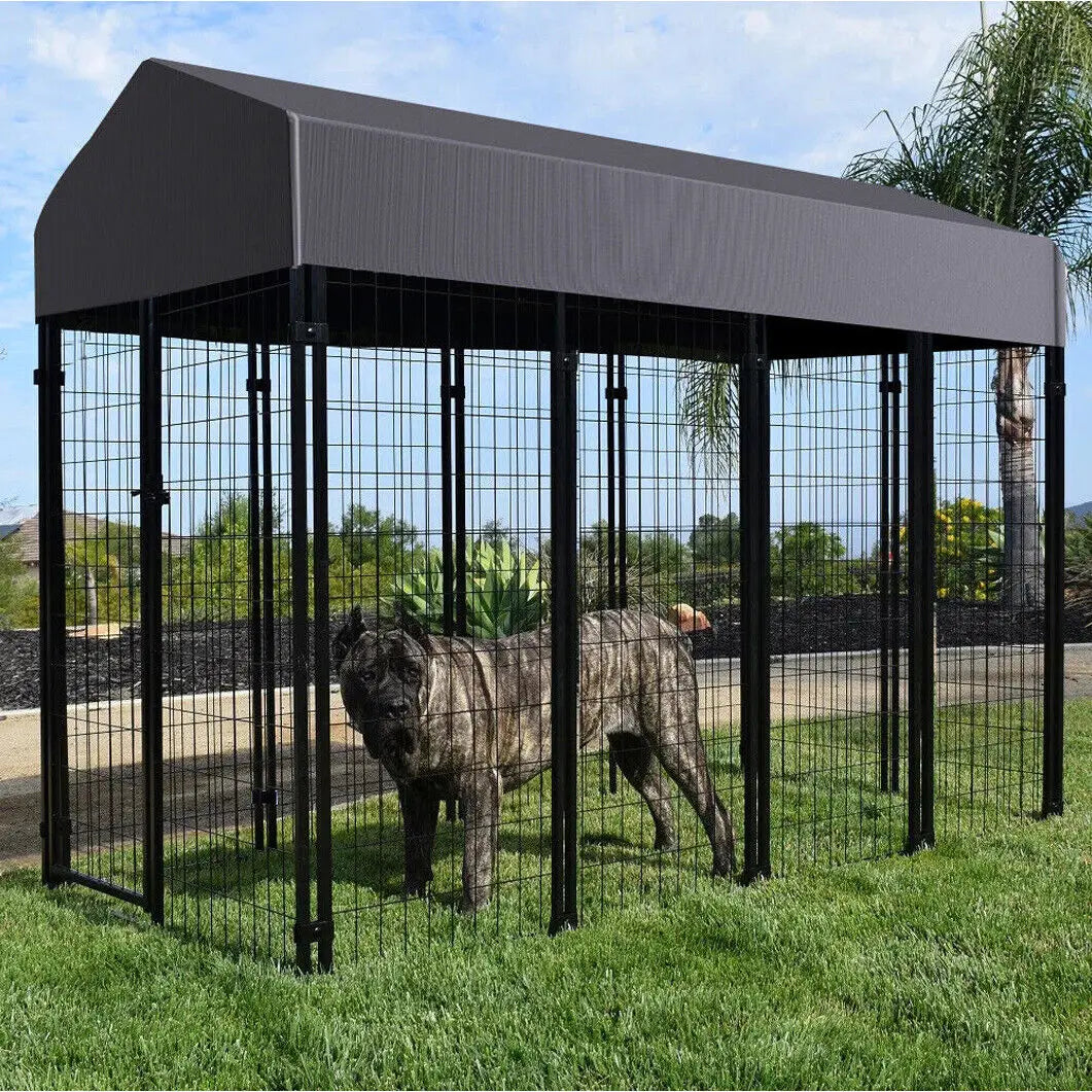 Outdoor Dog High Fence Kennel