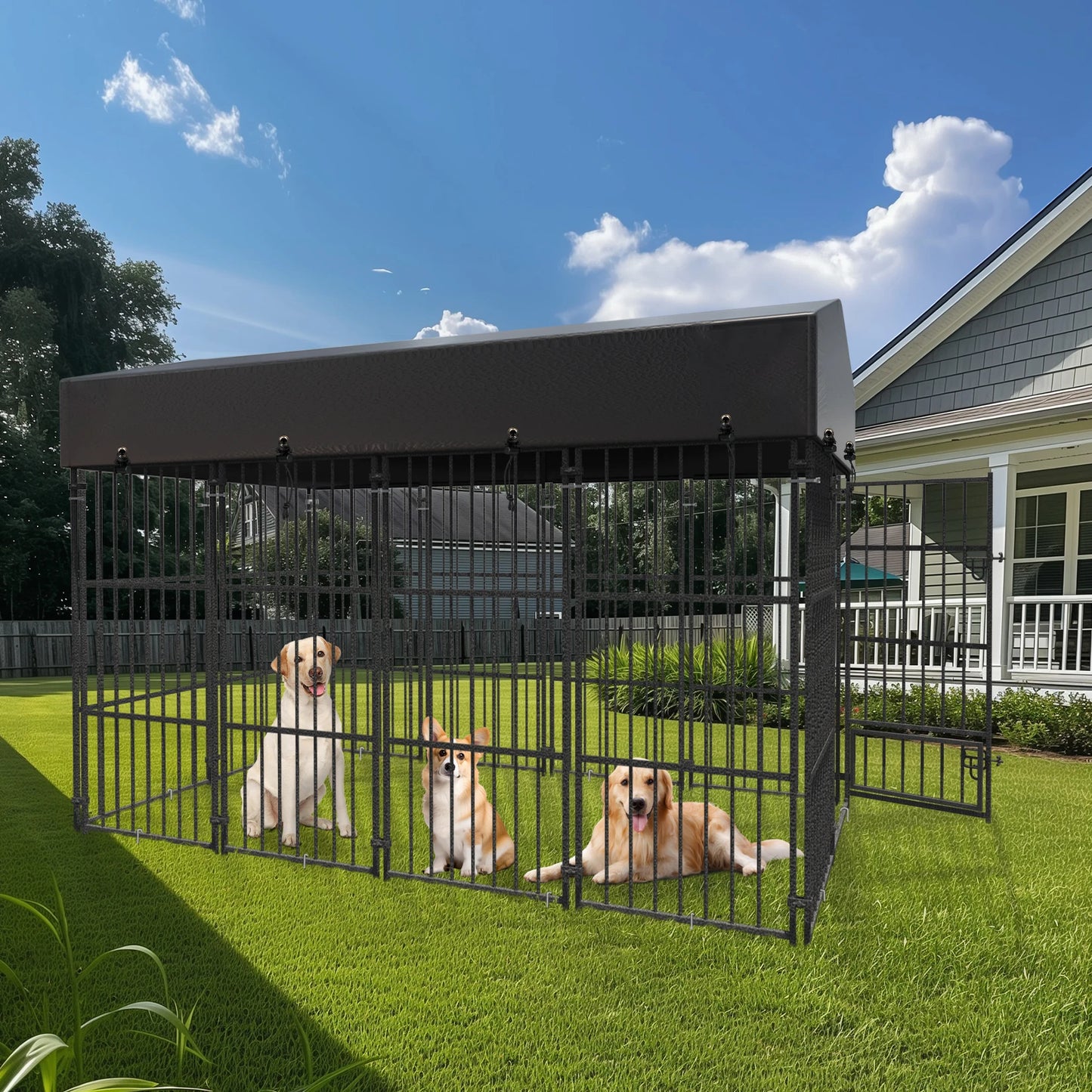 Outdoor Dog High Fence Kennel