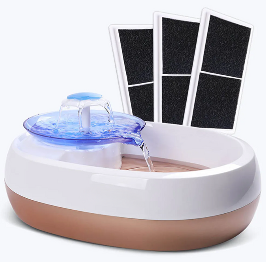Durable Drinking Fountain with 3 Washable Filters