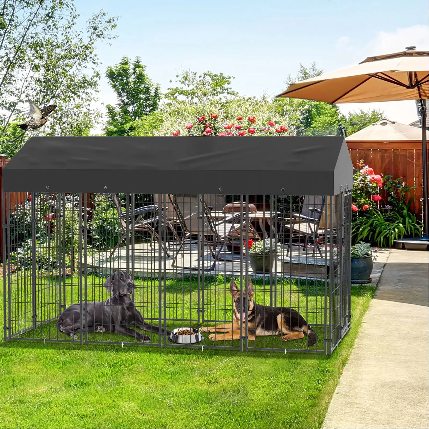 Outdoor Dog High Fence Kennel