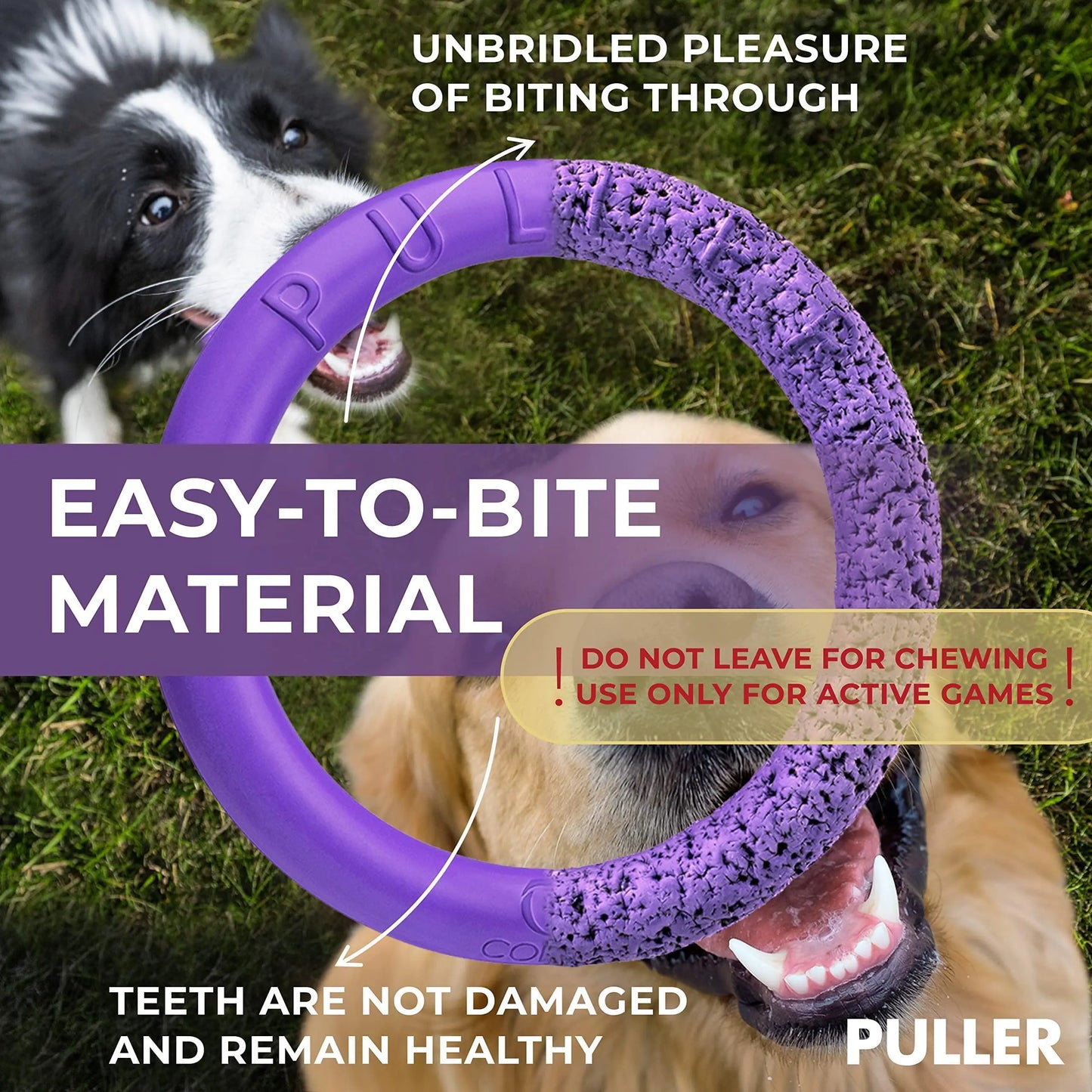 Outdoor Dog Ring Toys