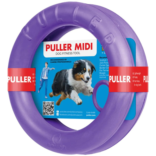 Outdoor Dog Ring Toys