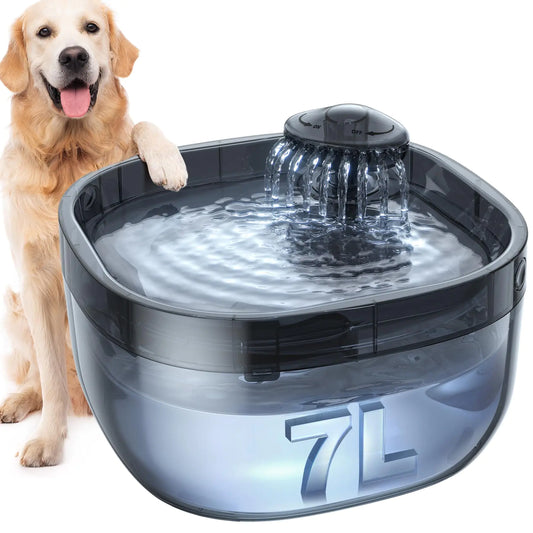Large Water Fountain