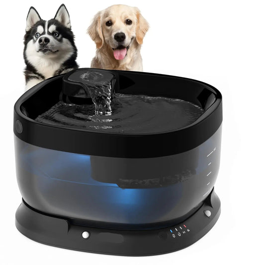 Wireless Water Fountain
