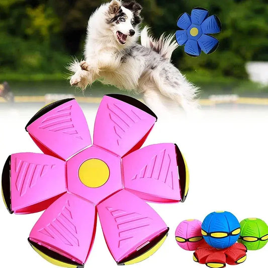 Flying Saucer Pet Toy