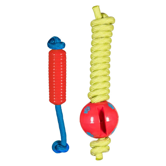 Fetch Dog Toy